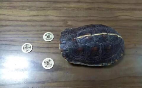 风水大师：择日不如撞日，不符合择吉日标准