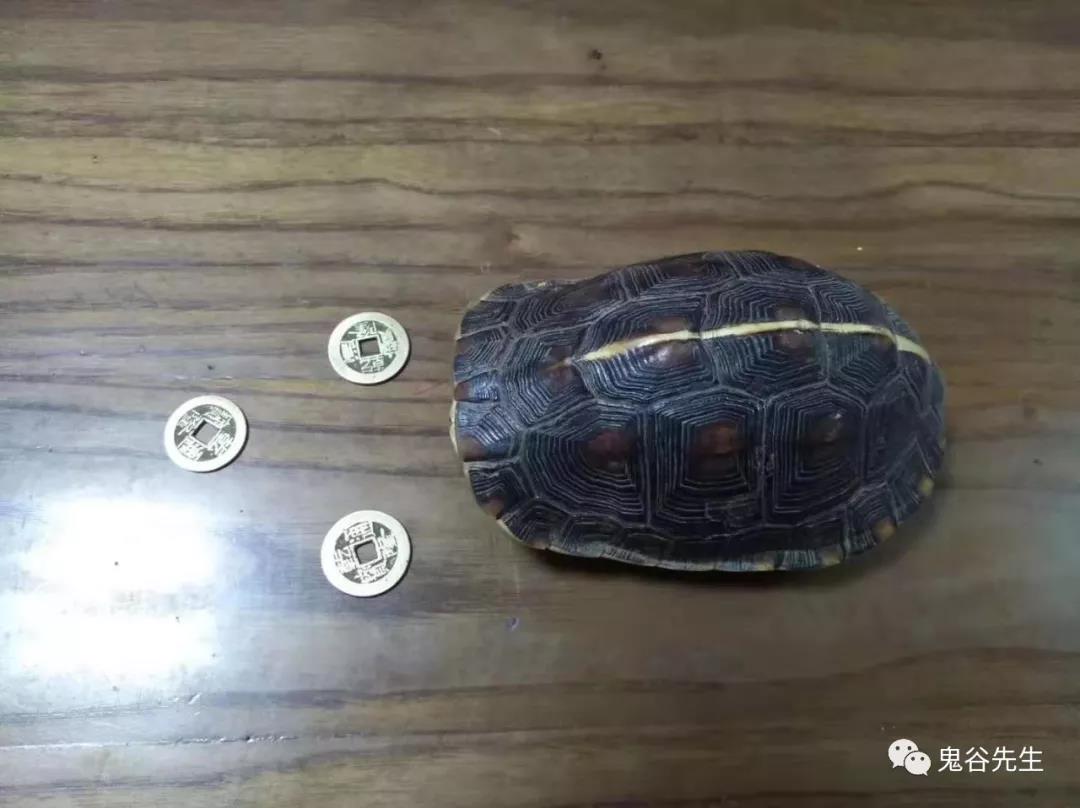 风水大师：择日不如撞日，不符合择吉日标准 图片7