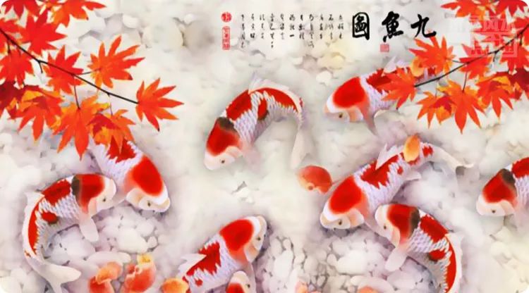 用什么样的手机壁纸可以招财 图片11