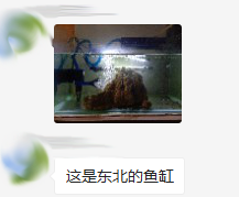 小寒|腹胀、多梦怎么办？风水来支招 图片9
