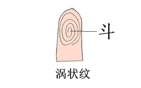 手相算命：手上几个斗是吉相？