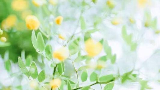 今日运势之7月1日，下半年也可以重新开始！ 图片1