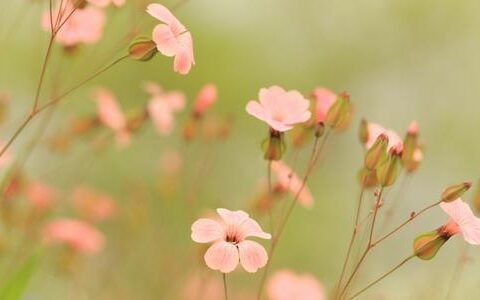 今日运势之7月3日，谁还不是个时间管理大师呢！
