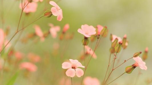 今日运势之7月3日,谁还不是个时间管理大师呢! 图片2 今日运势之7月3日,谁还不是个时间管理大师呢! 图片1