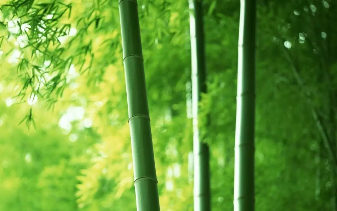 运气最好时候，就是你在不断突破自己 图片7