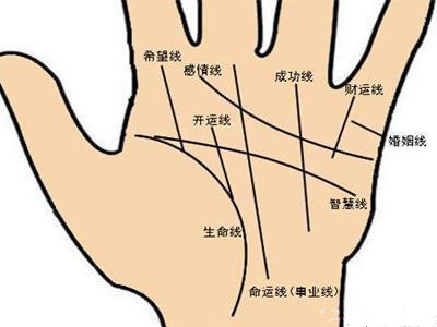 从手相上看你会换几个工作 图片2 从手相上看你会换几个工作 图片1