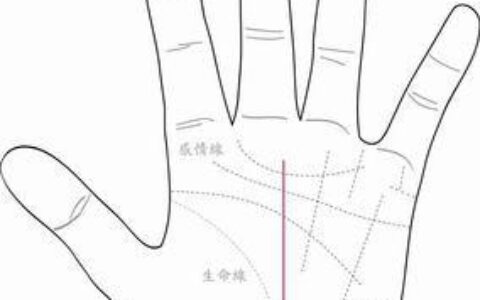 从手相上看你会换几个工作