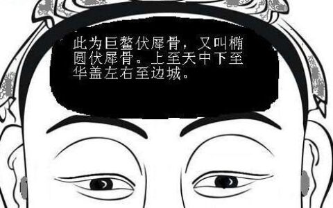你了解伏羲骨吗？