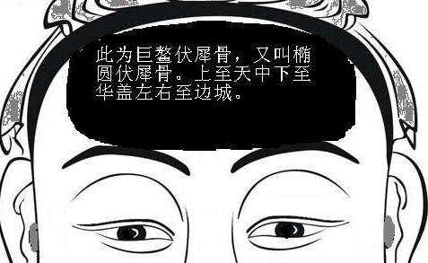 你了解伏羲骨吗？ 图片5