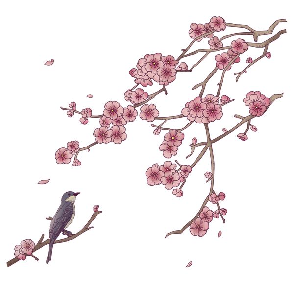 己亥年最后一个月的〖丁丑月〗月运 图片5