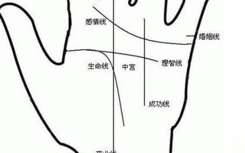 从手上看你一生的爱情运势