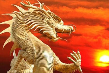 1988年属什么生肖的 属龙事业婚姻运势如何 图片14 1988年属什么生肖的 属龙事业婚姻运势如何 图片13