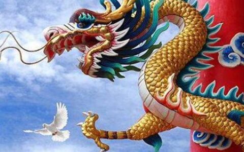 1988年属什么生肖的 属龙事业婚姻运势如何