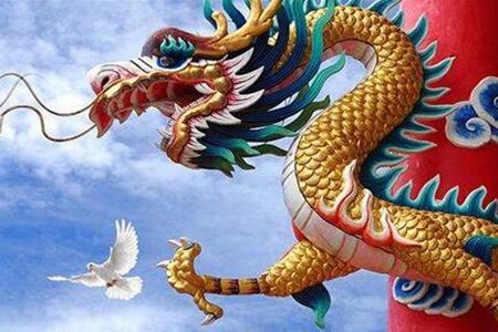 1988年属什么生肖的 属龙事业婚姻运势如何 图片18 1988年属什么生肖的 属龙事业婚姻运势如何 图片17
