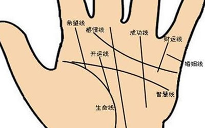 手相怎么看财运线财运线手相图解分析 图片1
