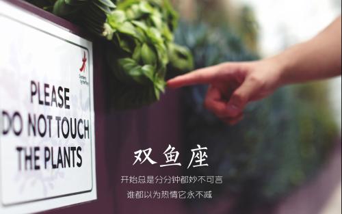 这些星座最让狮子座兴奋！ 图片1