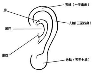 大耳朵真的有福气吗? 图片2 大耳朵真的有福气吗? 图片1