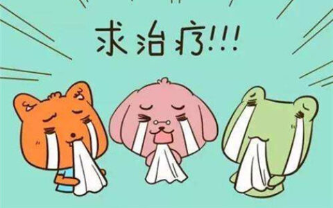 十二生肖谁患有重度拖延症