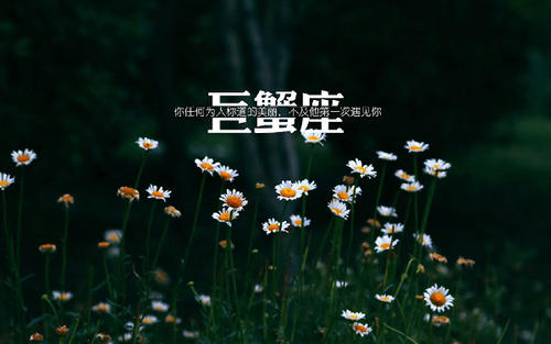12星座男人婚外情，怕伤心的勿看！ 图片3