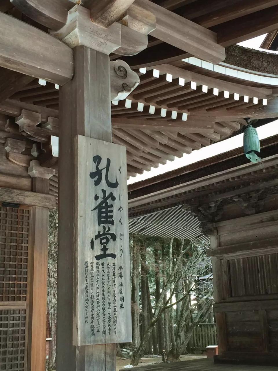当今世间唯一可见的神兽，竟然这么厉害？ 图片19