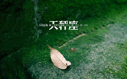 十二星座吸猫指数排行榜！ 图片3