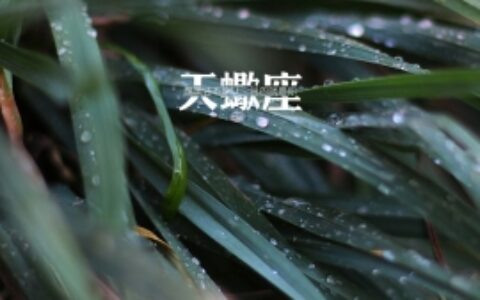十二星座吸猫指数排行榜！