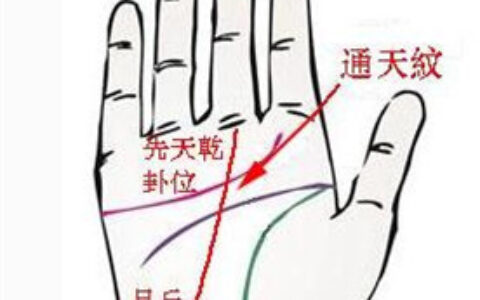 你的手上有通天纹吗