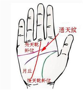 你的手上有通天纹吗 图片7