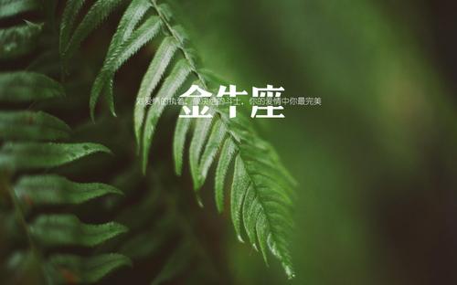 来了，十二星座大型双标现场 图片1