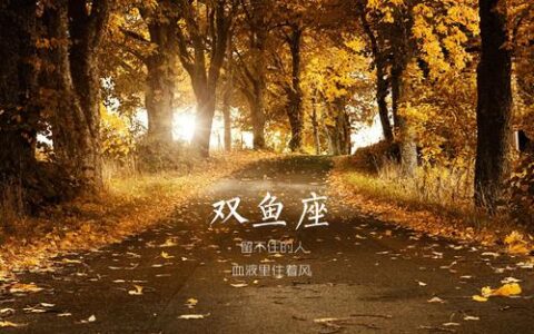 来了，十二星座大型双标现场