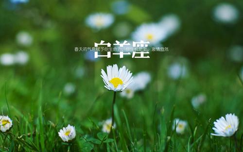 今日运势之6月13日,甜甜的恋爱我也想要! 图片2 今日运势之6月13日,甜甜的恋爱我也想要! 图片1