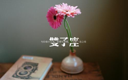 今日运势之6月13日,甜甜的恋爱我也想要! 图片4 今日运势之6月13日,甜甜的恋爱我也想要! 图片3