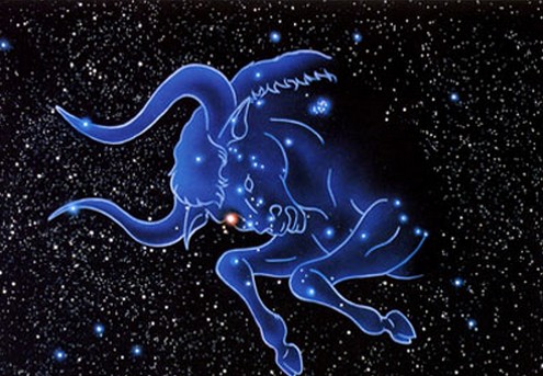 这四个星座看上去很快乐，其实孤独得像条狗！ 图片1