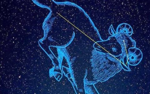 最不可能性冷淡的星座，很有激情！！！