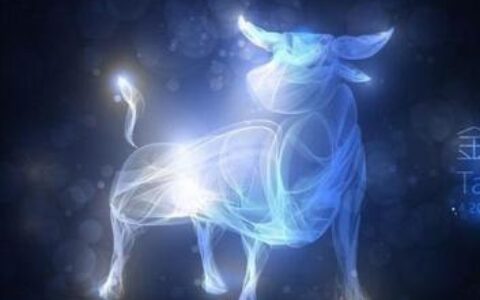 金牛座就是极端：要么破碎要么完美！