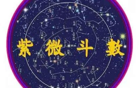 十四主星解析你的婚后生活，最容易离婚的主星居然是这个！