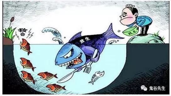 不懂放生、即是杀生，功不唐捐、玉汝于成 图片1