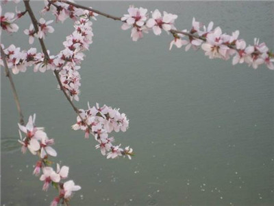 风水知识助你婚姻幸福 图片7