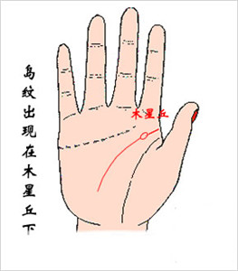 手相智慧线，怎么看智慧线有岛纹 图片7