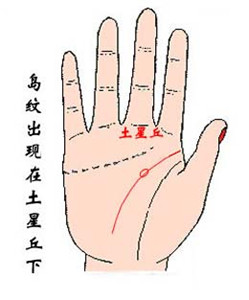 手相智慧线，怎么看智慧线有岛纹 图片9