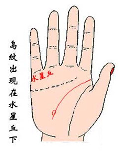 手相智慧线，怎么看智慧线有岛纹 图片13