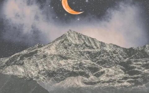 土星逆行，附上十二星座土逆逃生攻略