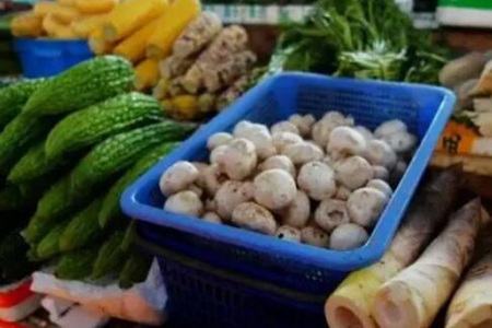 梦见买菜是什么意思啊 这是一种好运的征兆吗 图片15