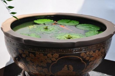 家庭鱼缸摆放风水作用 小鱼缸大有乾坤化煞助运 图片3