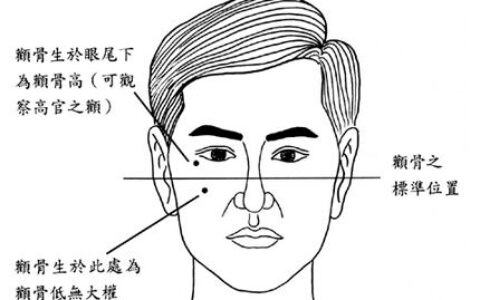 看颧骨知道你是否能掌权