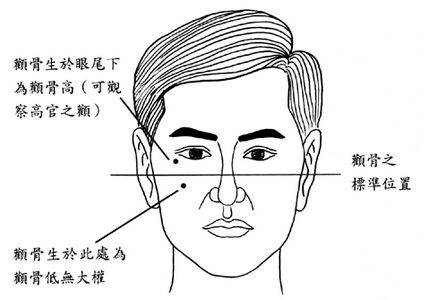 看颧骨知道你是否能掌权 图片1