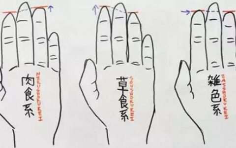男人的无名指长度竟隐藏这么多秘密