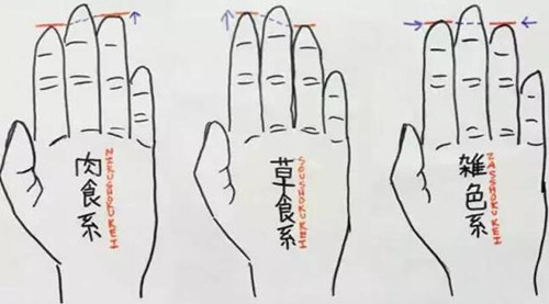 男人的无名指长度竟隐藏这么多秘密 图片1