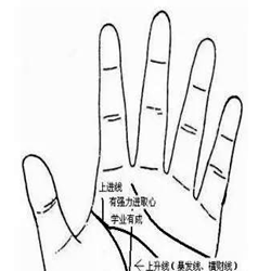 一双手看出你这辈子靠什么发家 图片5