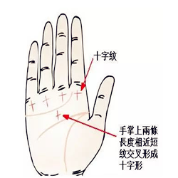一双手看出你这辈子靠什么发家 图片7